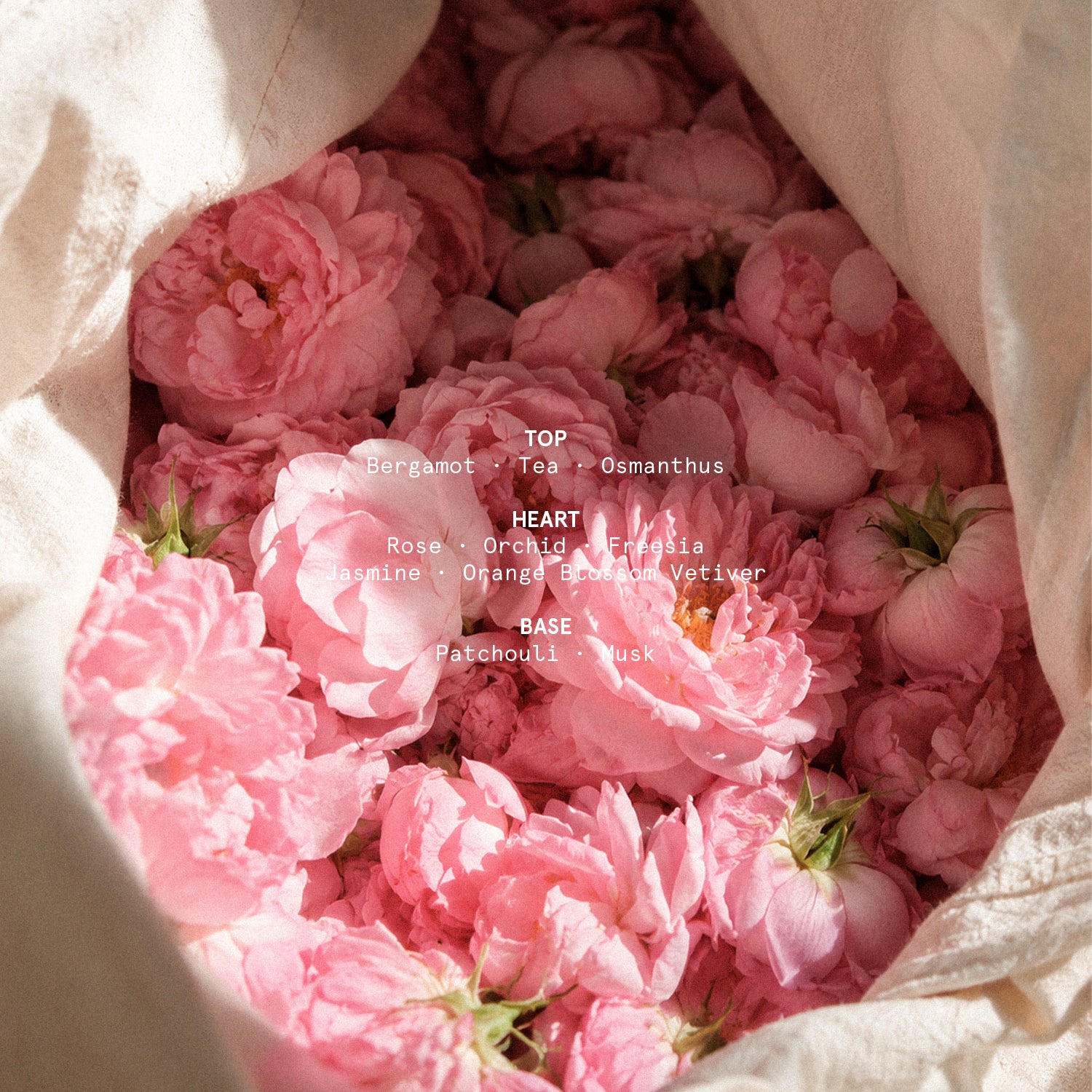 EARTH LOVE OIL FRAGRANCE