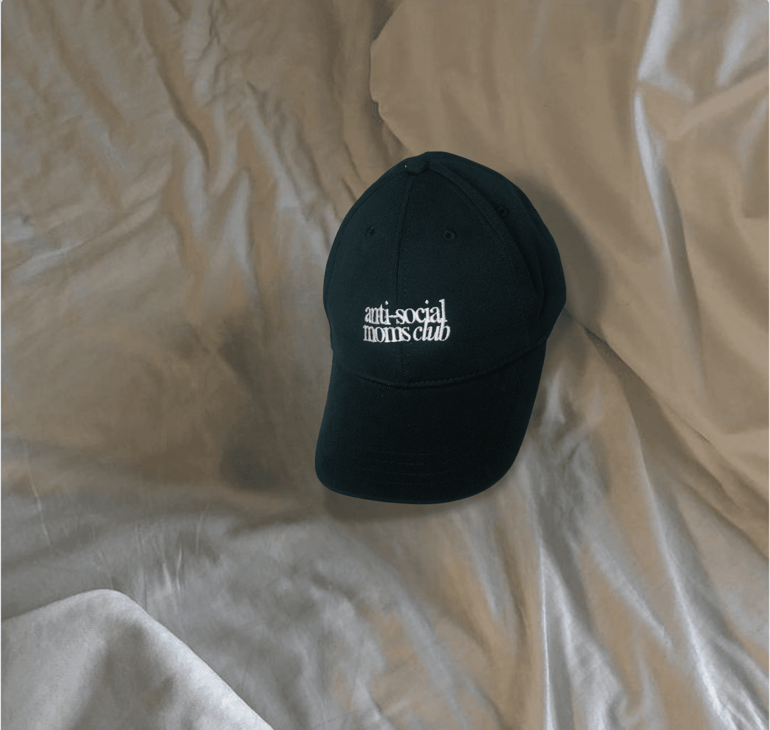ANTI-SOCIAL MOMS CLUB HAT