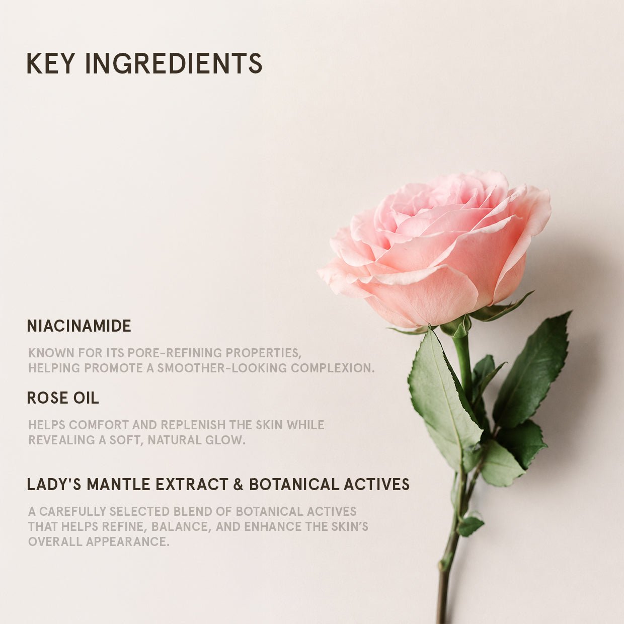 ROSE SUPER-ANTIOXIDANT SERUM